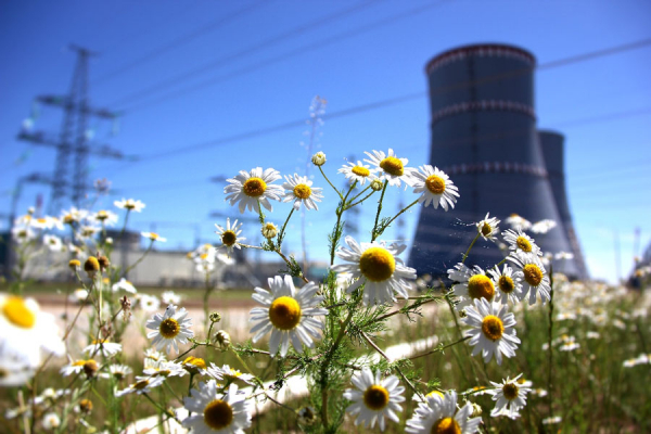 Nuclear power can help combat climate change - Polish expert