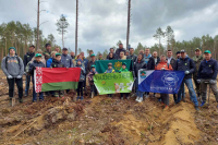 Беларуская АЭС прыняла ўдзел у «Тыдні лесу»