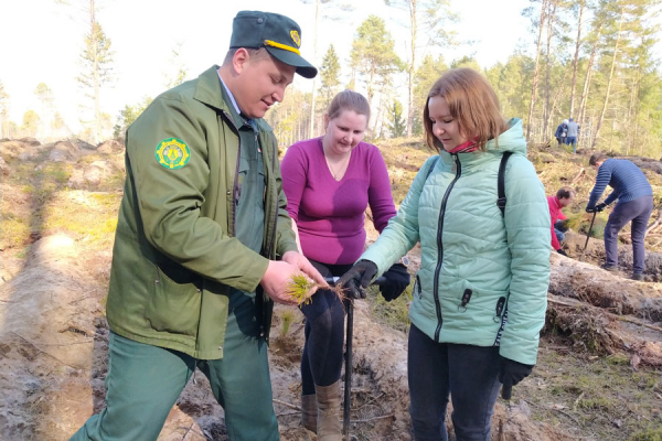 Белорусская АЭС примет участие в «Неделе леса»